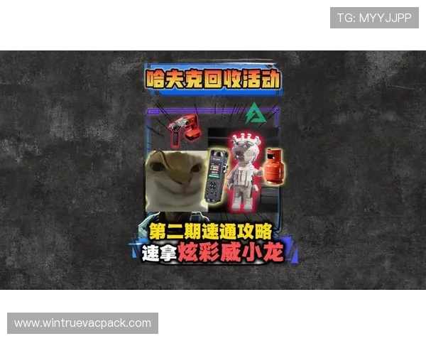 好博平台优惠活动时间安排及参与攻略助你轻松获得丰富奖励