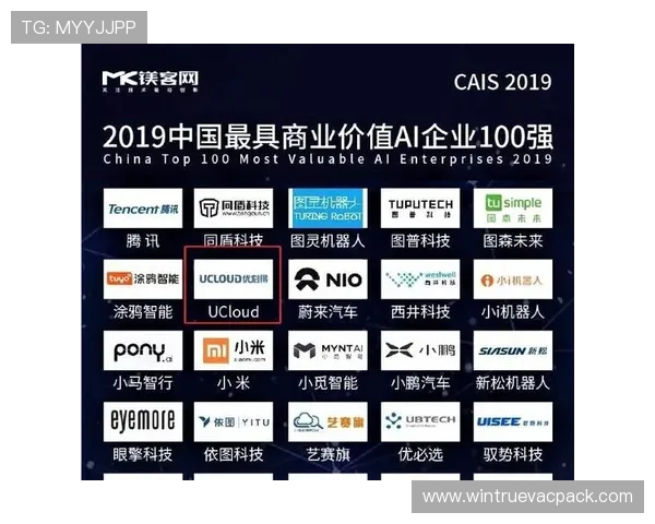 U体育官网平台的技术支持与客户服务体系全面解析，保障玩家权益